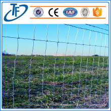 Hot sale cattle/goat field fence with best price